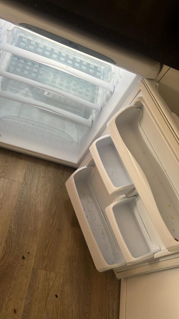 WhatsApp Image 2025-09-11 at 15.32.36 (1)