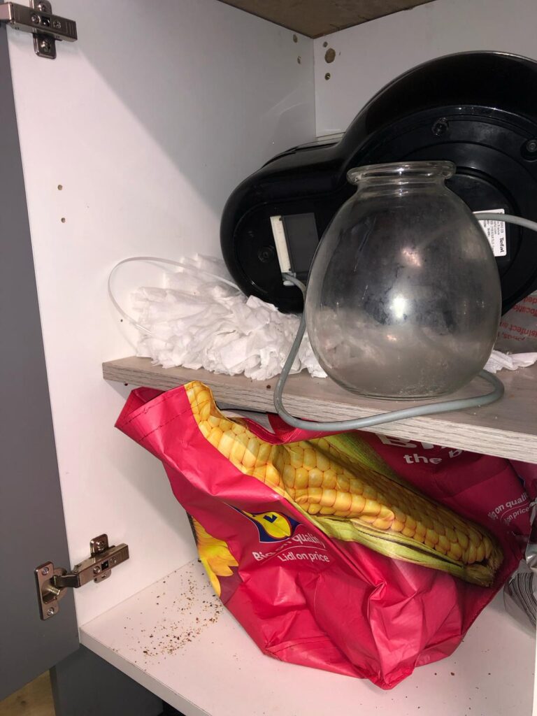 WhatsApp Image 2025-09-11 at 15.42.20 (5)